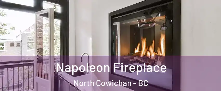  Napoleon Fireplace North Cowichan - BC