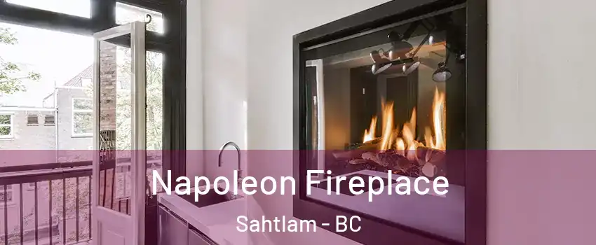  Napoleon Fireplace Sahtlam - BC