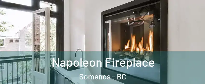  Napoleon Fireplace Somenos - BC