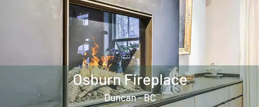  Osburn Fireplace Duncan - BC