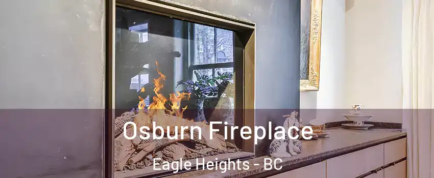  Osburn Fireplace Eagle Heights - BC