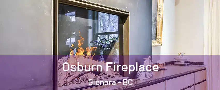  Osburn Fireplace Glenora - BC