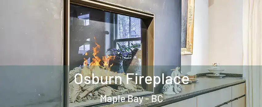  Osburn Fireplace Maple Bay - BC