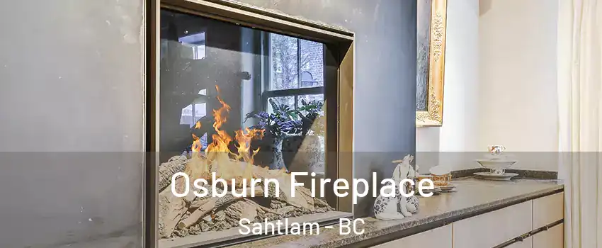  Osburn Fireplace Sahtlam - BC