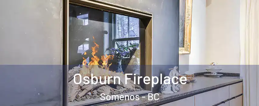  Osburn Fireplace Somenos - BC