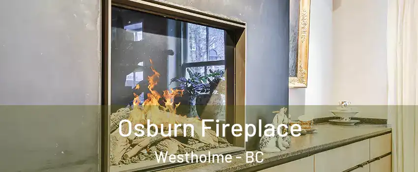  Osburn Fireplace Westholme - BC