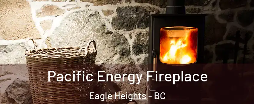  Pacific Energy Fireplace Eagle Heights - BC