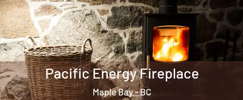  Pacific Energy Fireplace Maple Bay - BC