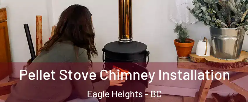  Pellet Stove Chimney Installation Eagle Heights - BC
