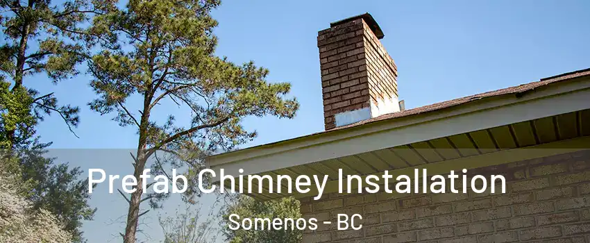  Prefab Chimney Installation Somenos - BC