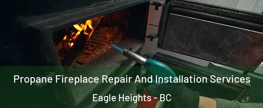 Propane Fireplace Repair And Installation Services Eagle Heights - BC