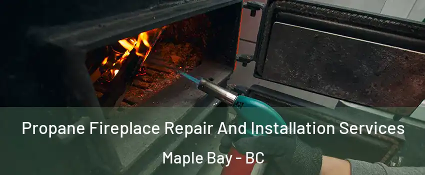 Propane Fireplace Repair And Installation Services Maple Bay - BC