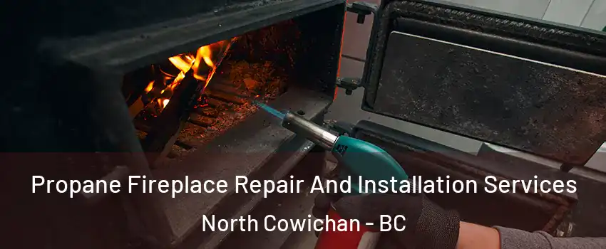 Propane Fireplace Repair And Installation Services North Cowichan - BC