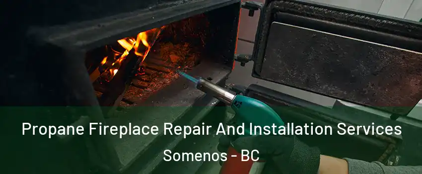 Propane Fireplace Repair And Installation Services Somenos - BC