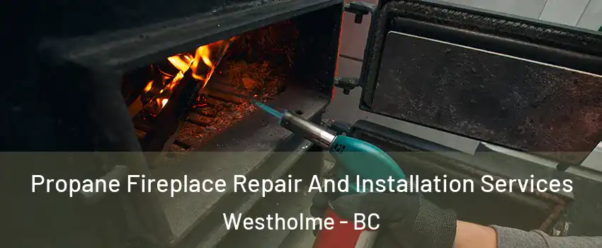 Propane Fireplace Repair And Installation Services Westholme - BC