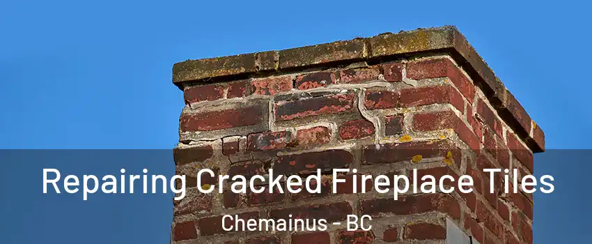  Repairing Cracked Fireplace Tiles Chemainus - BC