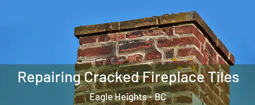  Repairing Cracked Fireplace Tiles Eagle Heights - BC