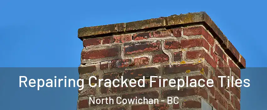  Repairing Cracked Fireplace Tiles North Cowichan - BC