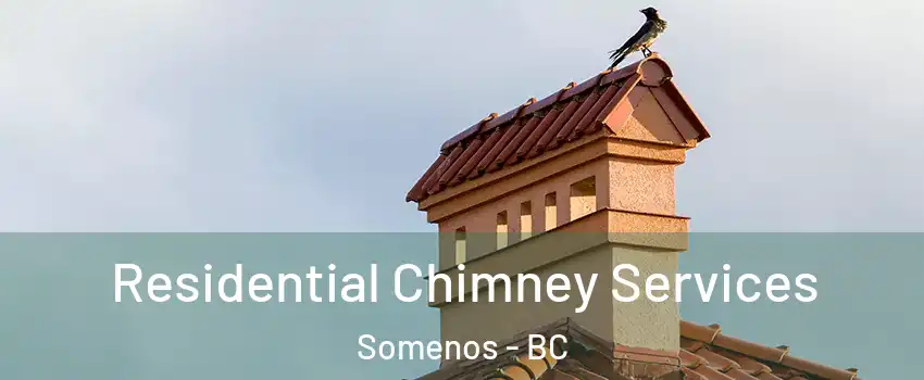  Residential Chimney Services Somenos - BC