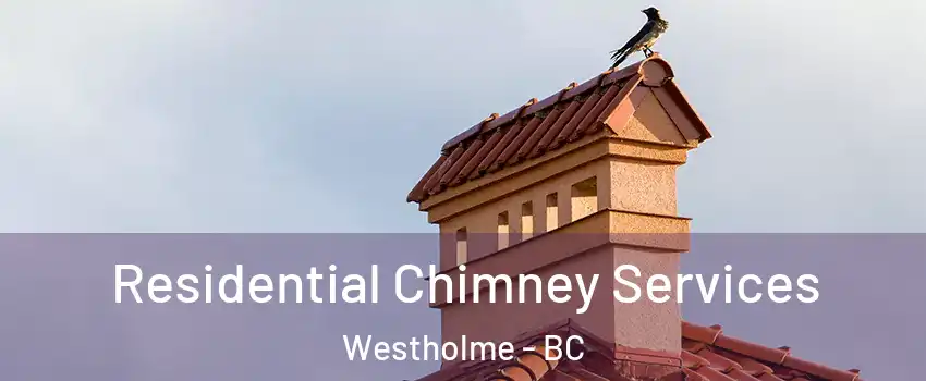  Residential Chimney Services Westholme - BC