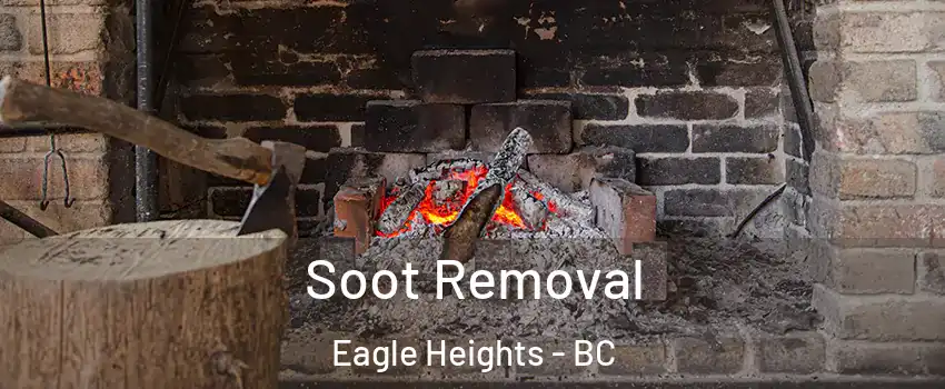  Soot Removal Eagle Heights - BC