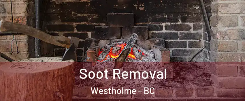  Soot Removal Westholme - BC