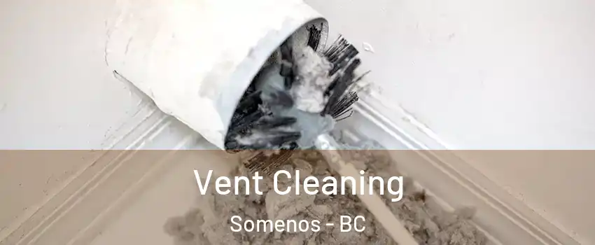 Vent Cleaning Somenos - BC