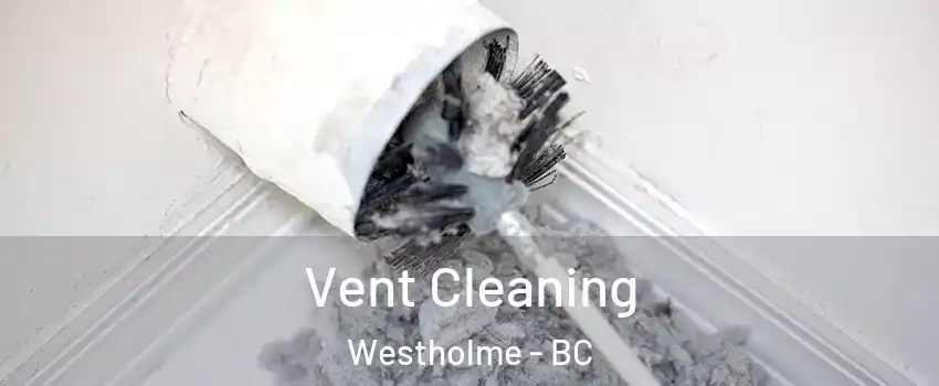  Vent Cleaning Westholme - BC