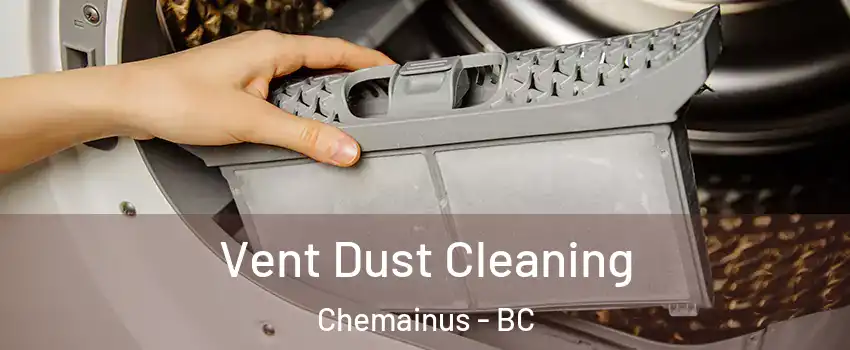  Vent Dust Cleaning Chemainus - BC