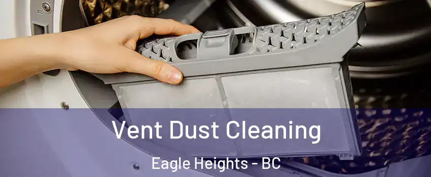  Vent Dust Cleaning Eagle Heights - BC