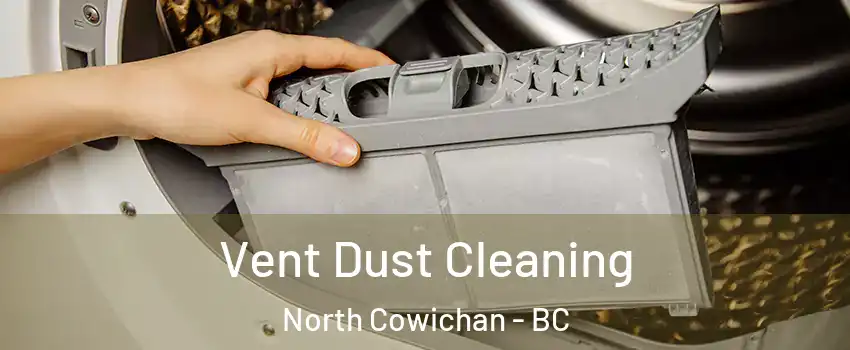  Vent Dust Cleaning North Cowichan - BC