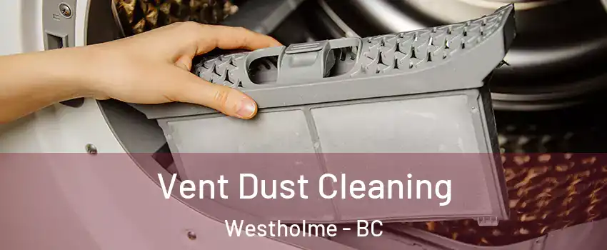  Vent Dust Cleaning Westholme - BC