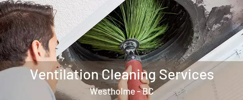  Ventilation Cleaning Services Westholme - BC