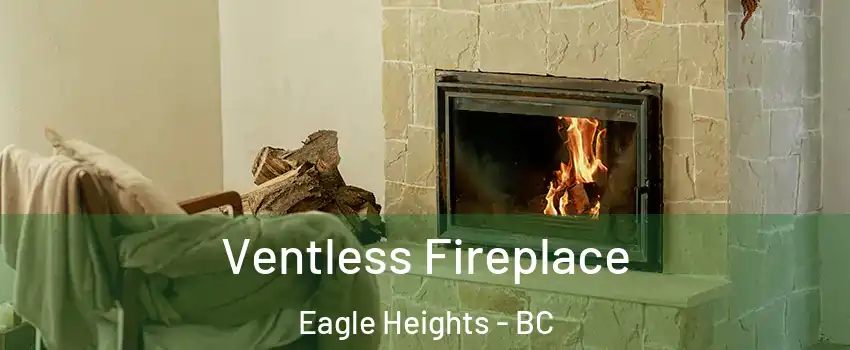  Ventless Fireplace Eagle Heights - BC