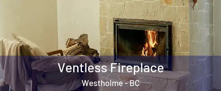  Ventless Fireplace Westholme - BC