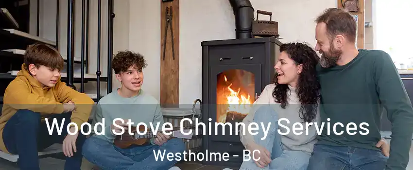  Wood Stove Chimney Services Westholme - BC