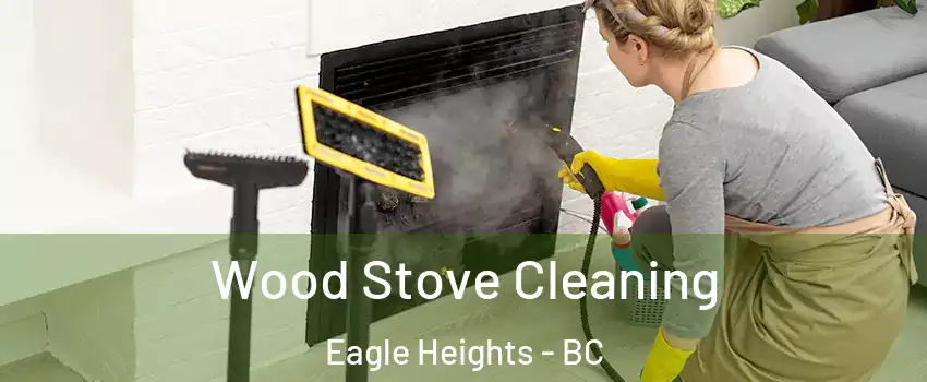  Wood Stove Cleaning Eagle Heights - BC