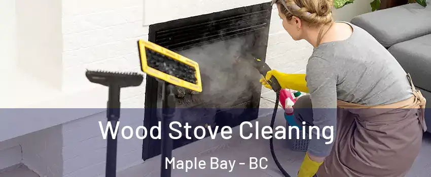  Wood Stove Cleaning Maple Bay - BC