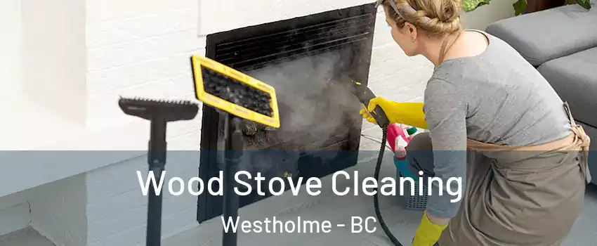  Wood Stove Cleaning Westholme - BC