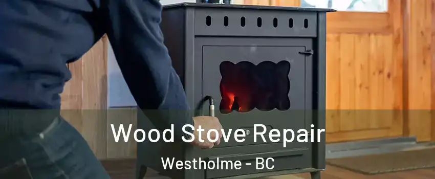  Wood Stove Repair Westholme - BC